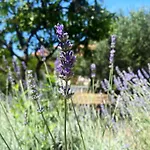 Mar Vintage Apartman